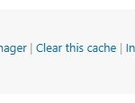 A WordPress website interface displaying options for Customized Meta Tags, featuring checkboxes and links for editing, quick editing, viewing, script manager, clearing cache, instant indexing, and submitting a page. ID: 203451.